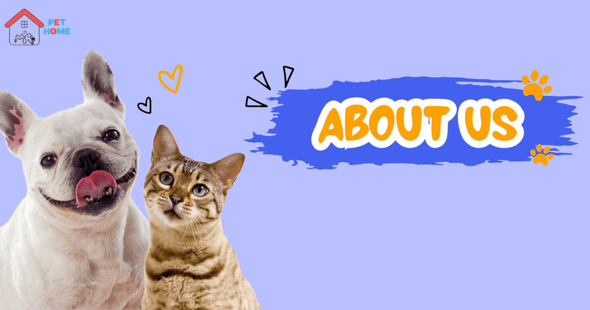 เกี่ยวกับเรา PetHomeVetmedin
