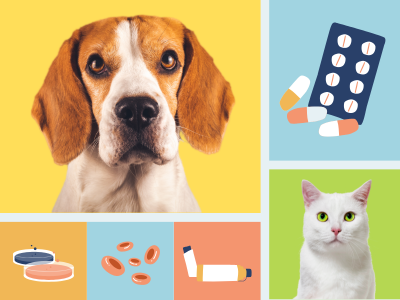 ยาสำหรับโรคหัวใจ