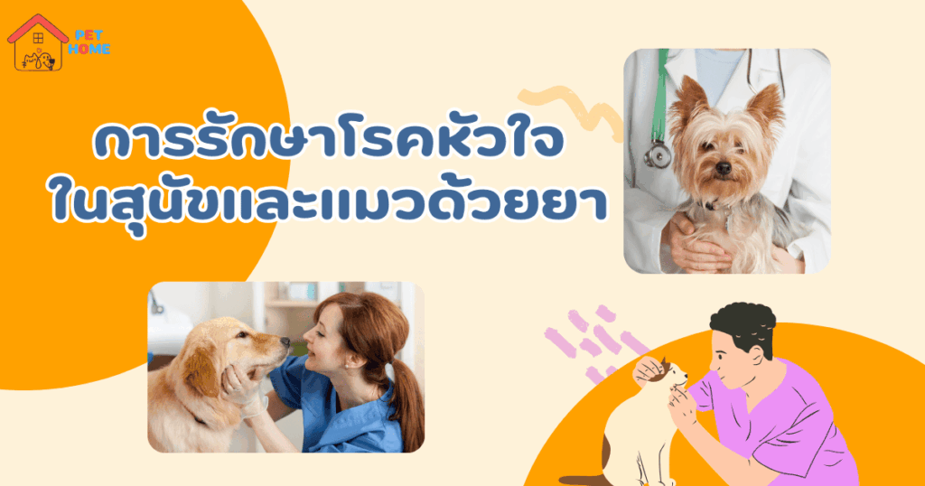 การรักษาโรคหัวใจสุนัขด้วยยา