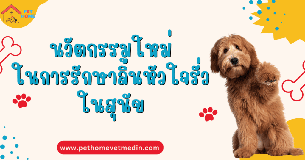 การรักษาลิ้นหัวใจรั่ว