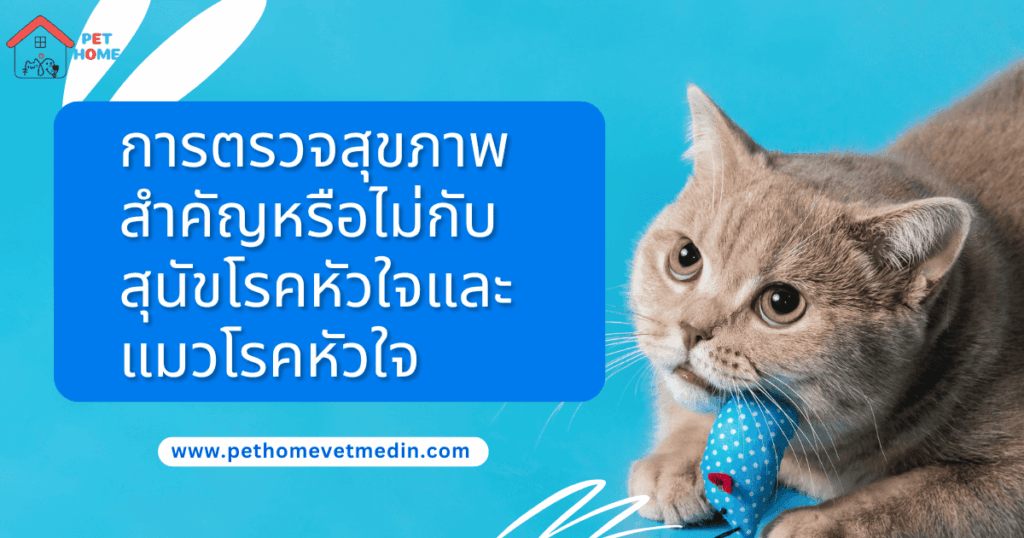สุนัขโรคหัวใจตรวจสุขภาพ