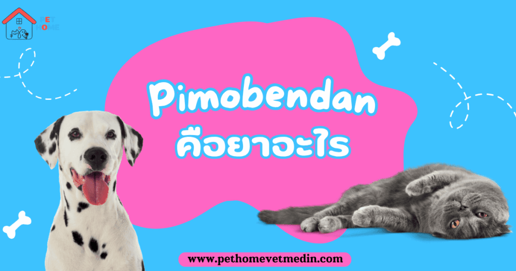 pimobendan