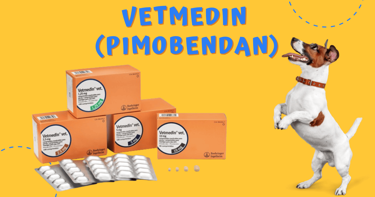 ยาโรคหัวใจ Vetmedin