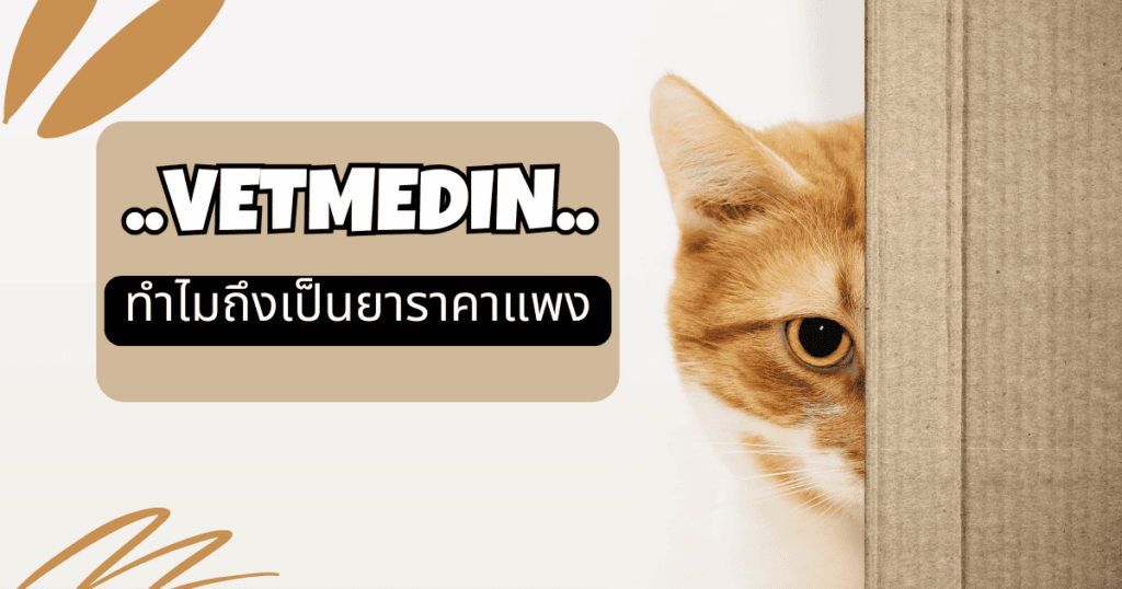 Vetmedin ราคา