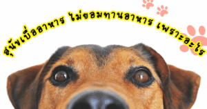 สุนัขเบื่ออาหาร