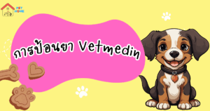 การป้อนยา Vetmedin