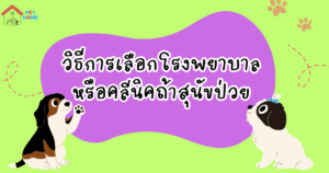 vetmedin ยาที่ใช้รักษาโรคหัวใจ