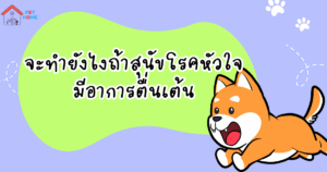 สุนัขโรคหัวใจ