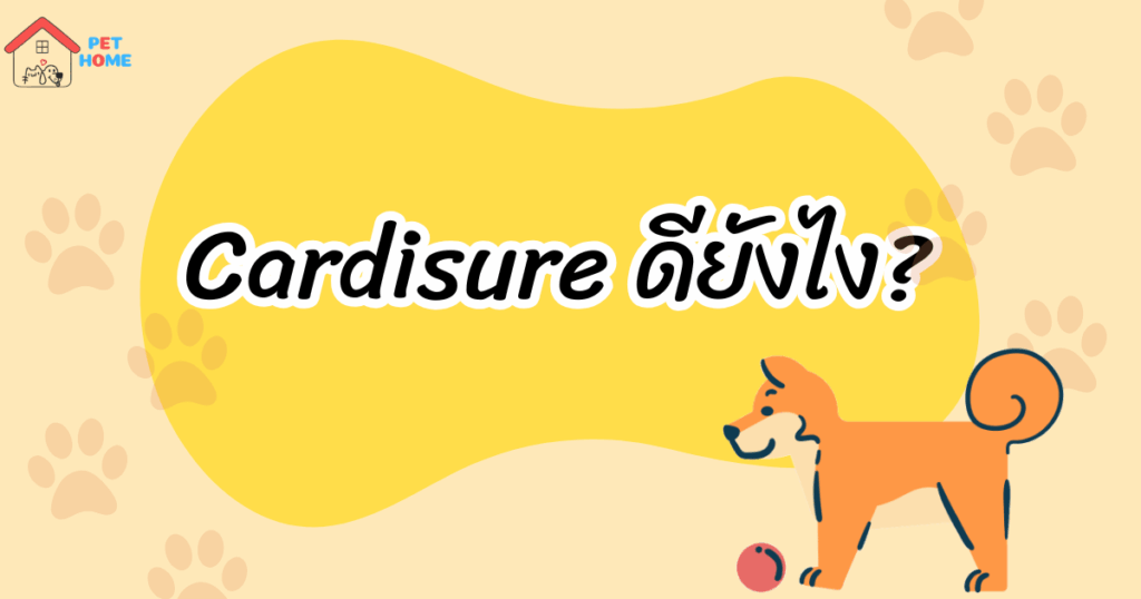 Cardisure 5mg